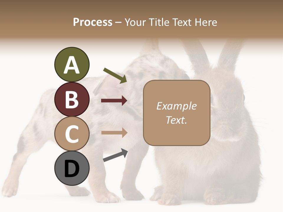 Body Model Lady PowerPoint Template