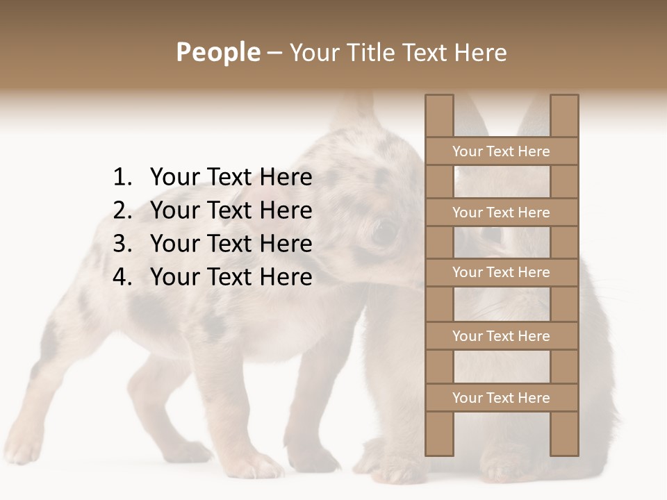 Body Model Lady PowerPoint Template