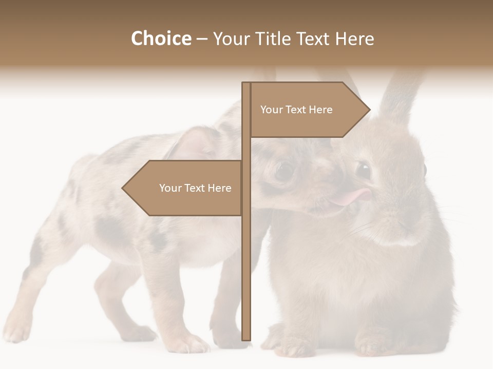 Body Model Lady PowerPoint Template