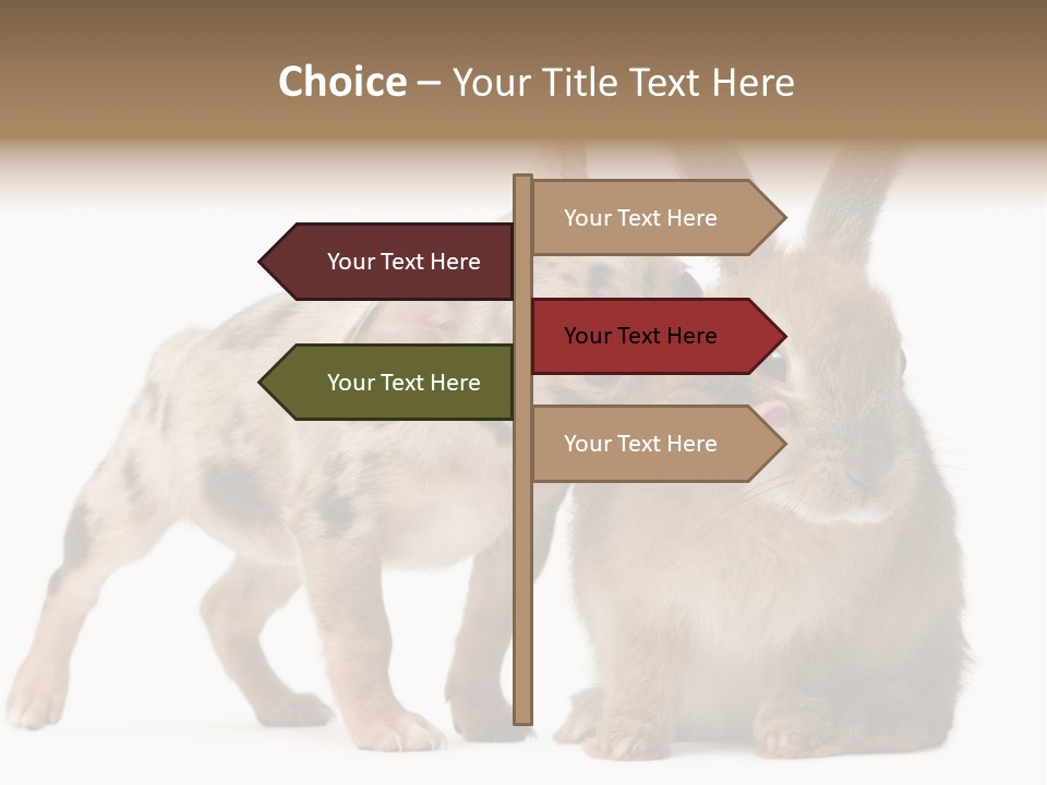 Body Model Lady PowerPoint Template