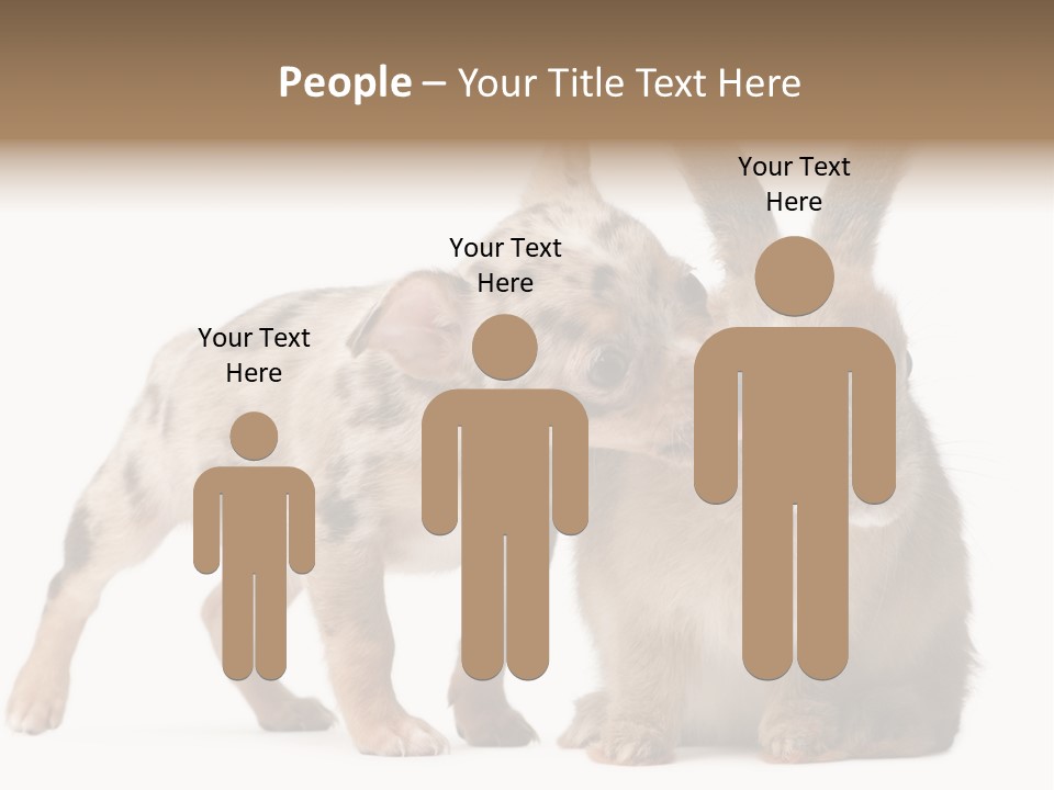 Body Model Lady PowerPoint Template