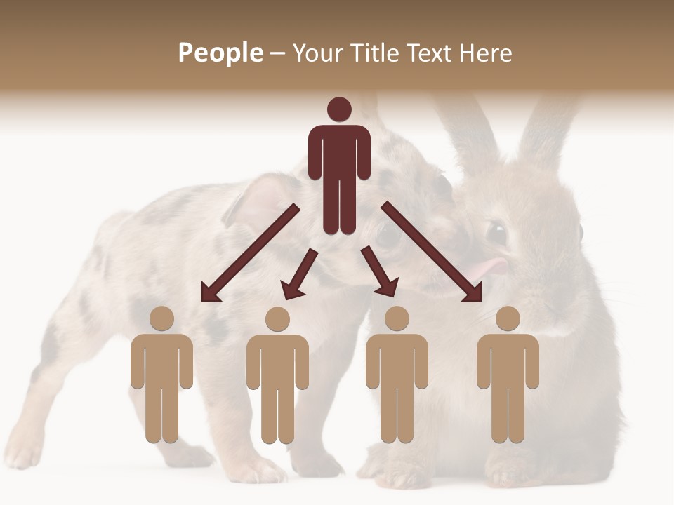 Body Model Lady PowerPoint Template