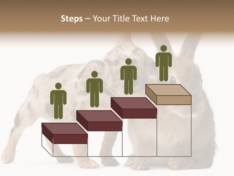 Body Model Lady PowerPoint Template