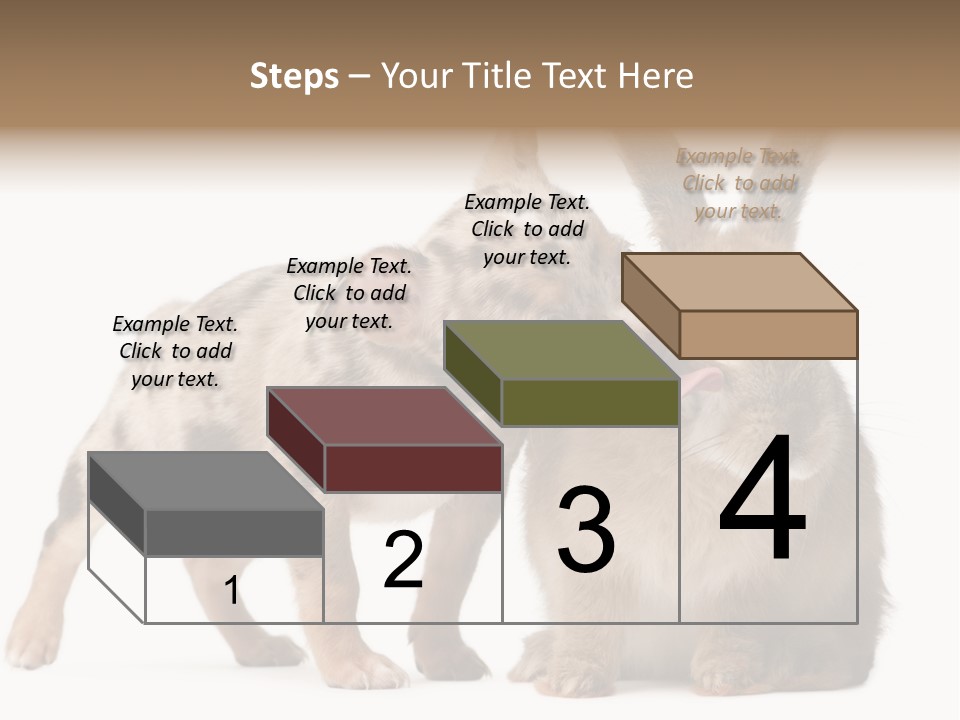 Body Model Lady PowerPoint Template