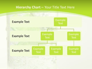 Weightloss Waistline Fit PowerPoint Template