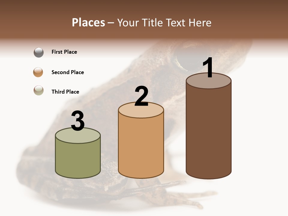 Rana Temporaria Wild Wild Animal PowerPoint Template