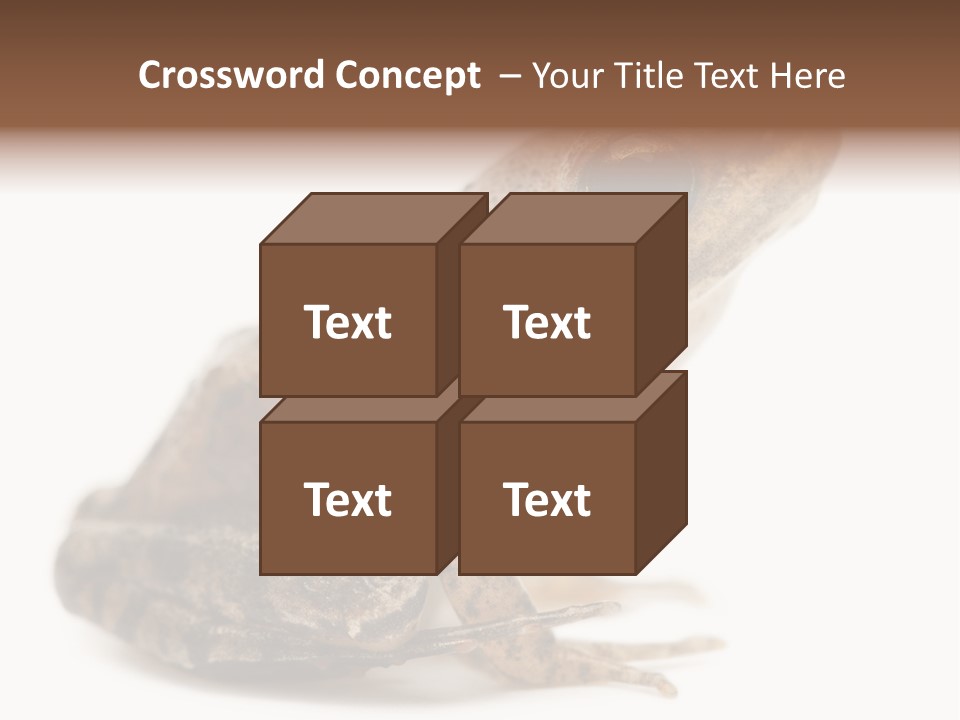 Rana Temporaria Wild Wild Animal PowerPoint Template