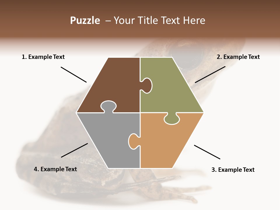 Rana Temporaria Wild Wild Animal PowerPoint Template