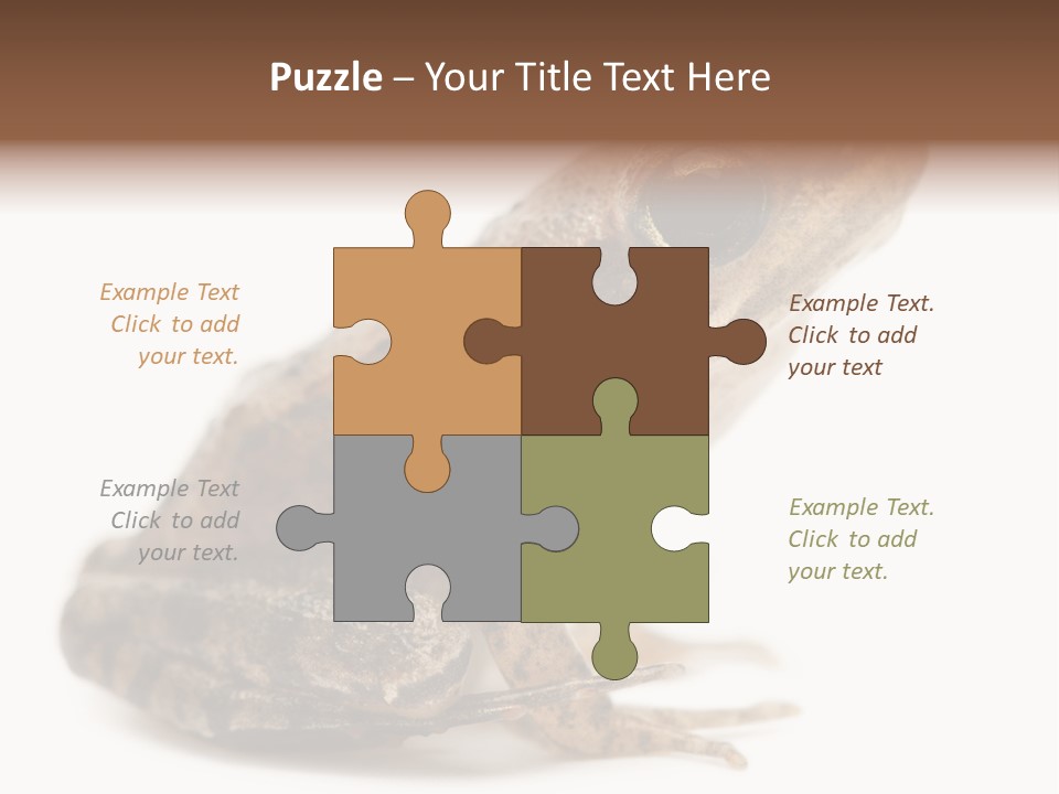 Rana Temporaria Wild Wild Animal PowerPoint Template