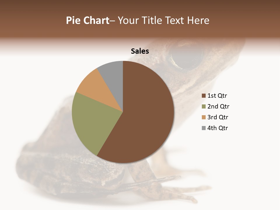 Rana Temporaria Wild Wild Animal PowerPoint Template