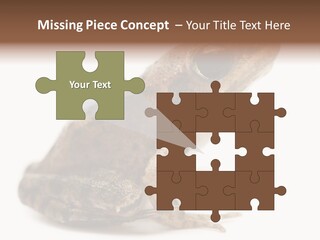 Rana Temporaria Wild Wild Animal PowerPoint Template