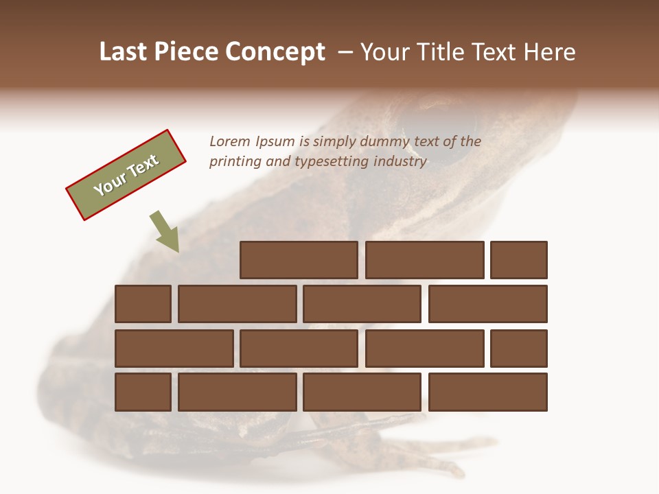 Rana Temporaria Wild Wild Animal PowerPoint Template