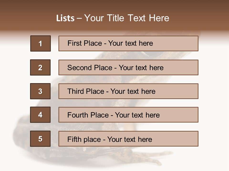Rana Temporaria Wild Wild Animal PowerPoint Template