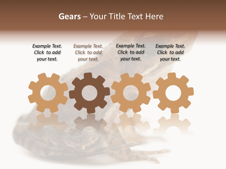 Rana Temporaria Wild Wild Animal PowerPoint Template
