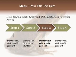 Rana Temporaria Wild Wild Animal PowerPoint Template