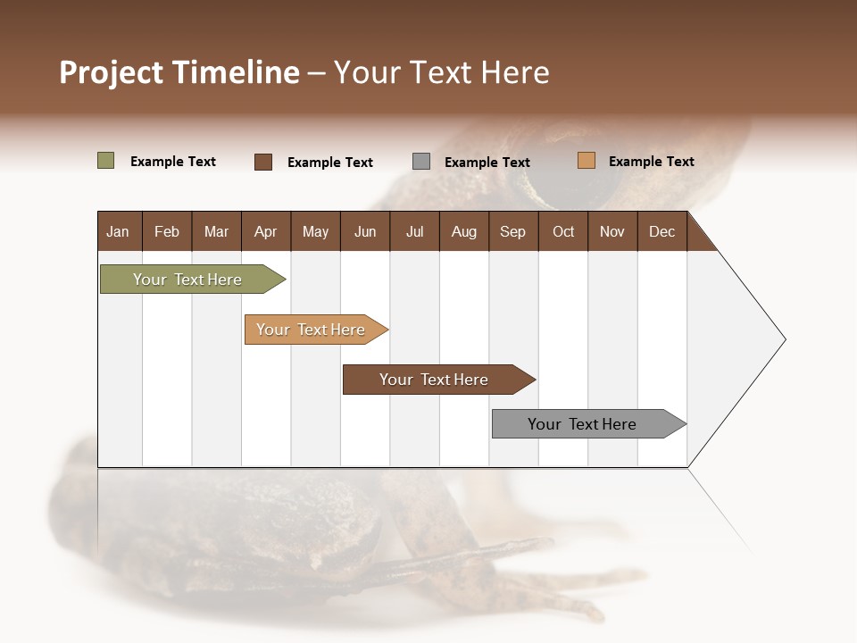 Rana Temporaria Wild Wild Animal PowerPoint Template
