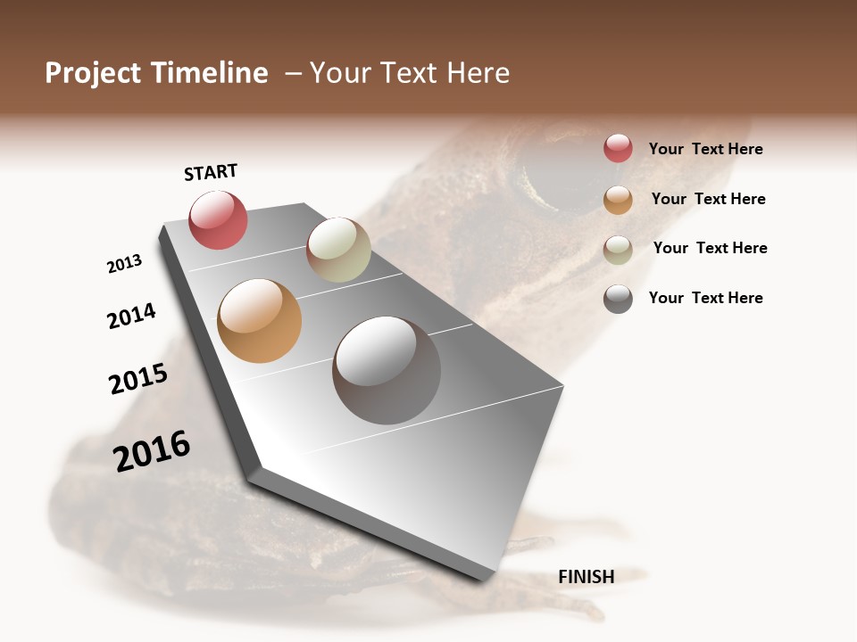 Rana Temporaria Wild Wild Animal PowerPoint Template