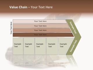 Rana Temporaria Wild Wild Animal PowerPoint Template
