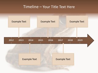 Rana Temporaria Wild Wild Animal PowerPoint Template