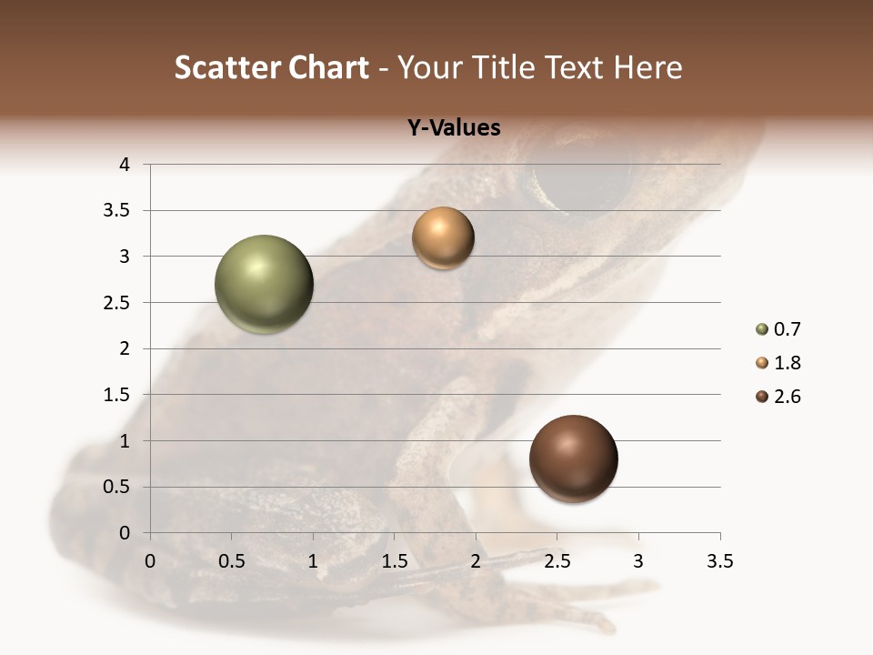 Rana Temporaria Wild Wild Animal PowerPoint Template