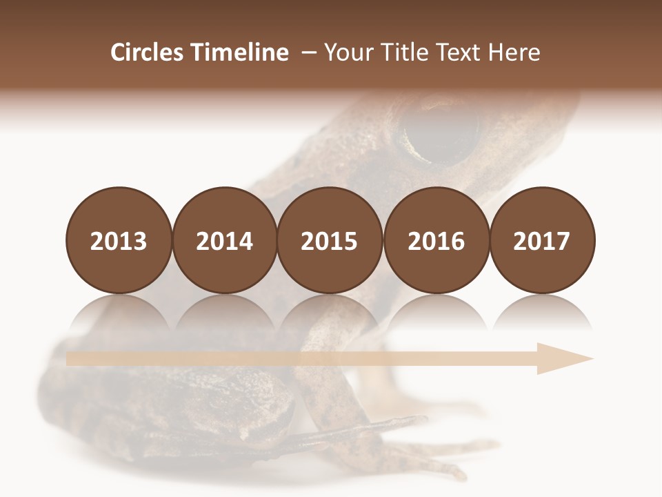 Rana Temporaria Wild Wild Animal PowerPoint Template