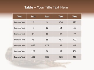 Rana Temporaria Wild Wild Animal PowerPoint Template