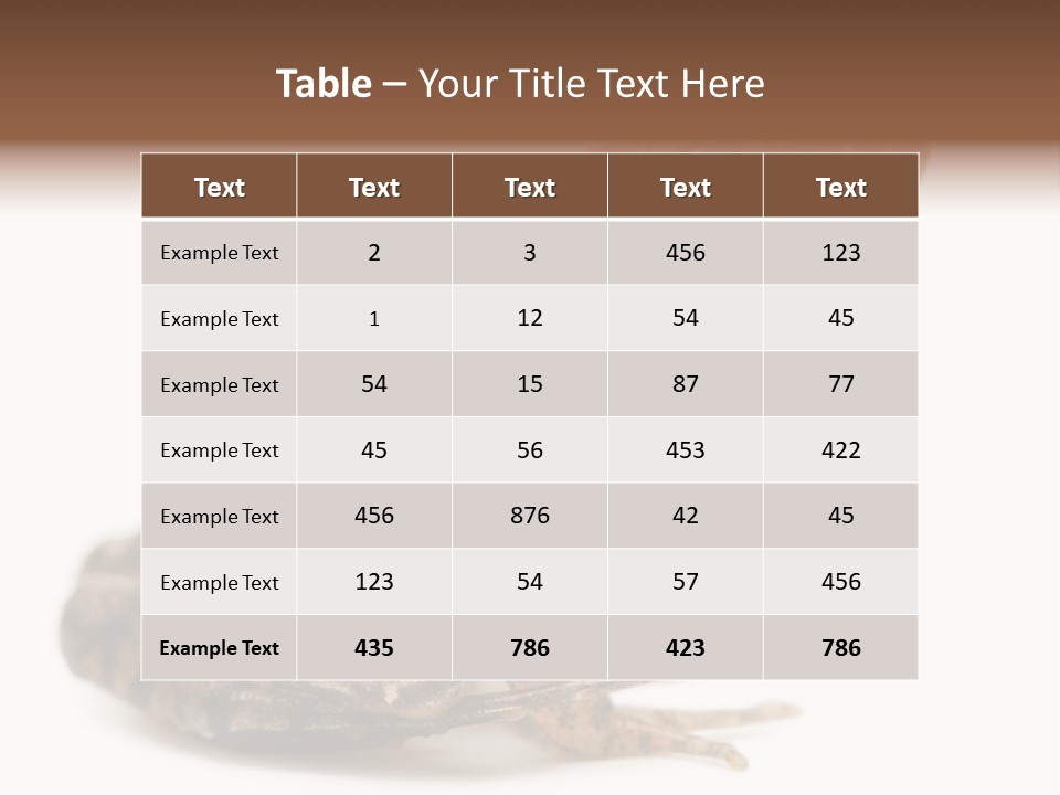 Rana Temporaria Wild Wild Animal PowerPoint Template