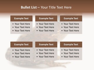 Rana Temporaria Wild Wild Animal PowerPoint Template