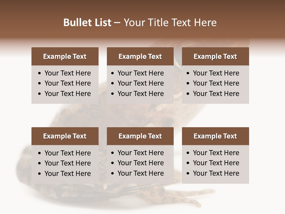 Rana Temporaria Wild Wild Animal PowerPoint Template