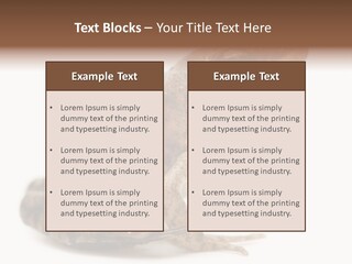 Rana Temporaria Wild Wild Animal PowerPoint Template