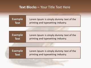 Rana Temporaria Wild Wild Animal PowerPoint Template