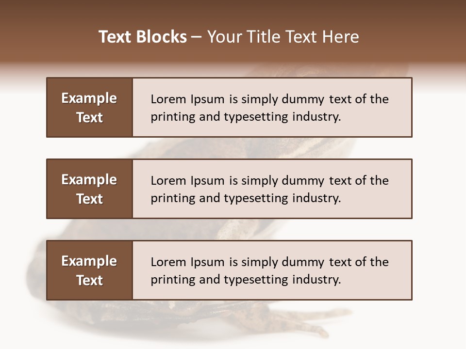Rana Temporaria Wild Wild Animal PowerPoint Template