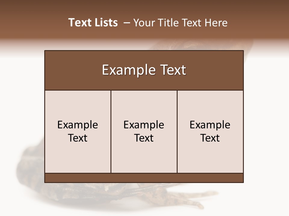 Rana Temporaria Wild Wild Animal PowerPoint Template