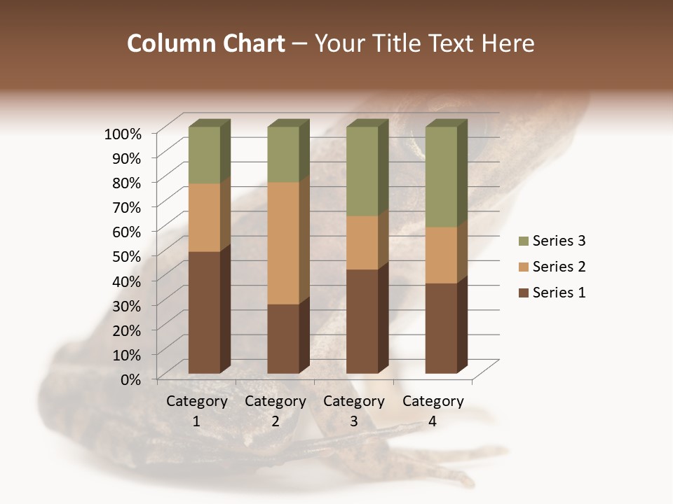 Rana Temporaria Wild Wild Animal PowerPoint Template