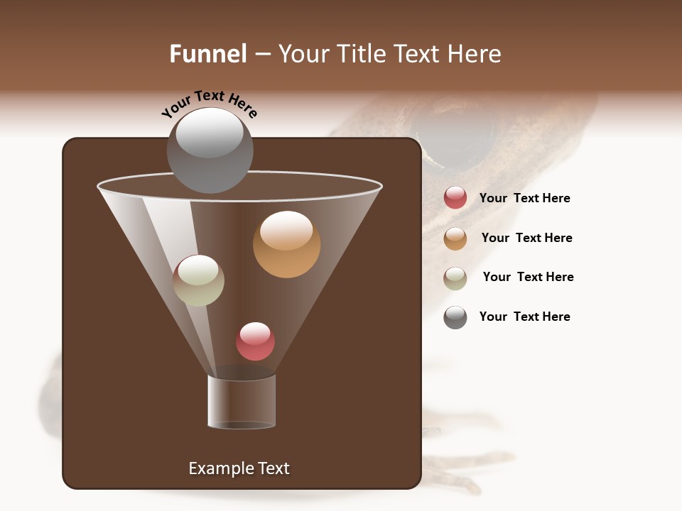 Rana Temporaria Wild Wild Animal PowerPoint Template