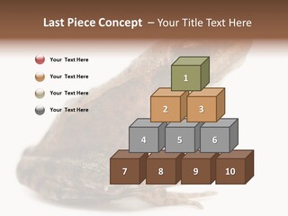 Rana Temporaria Wild Wild Animal PowerPoint Template