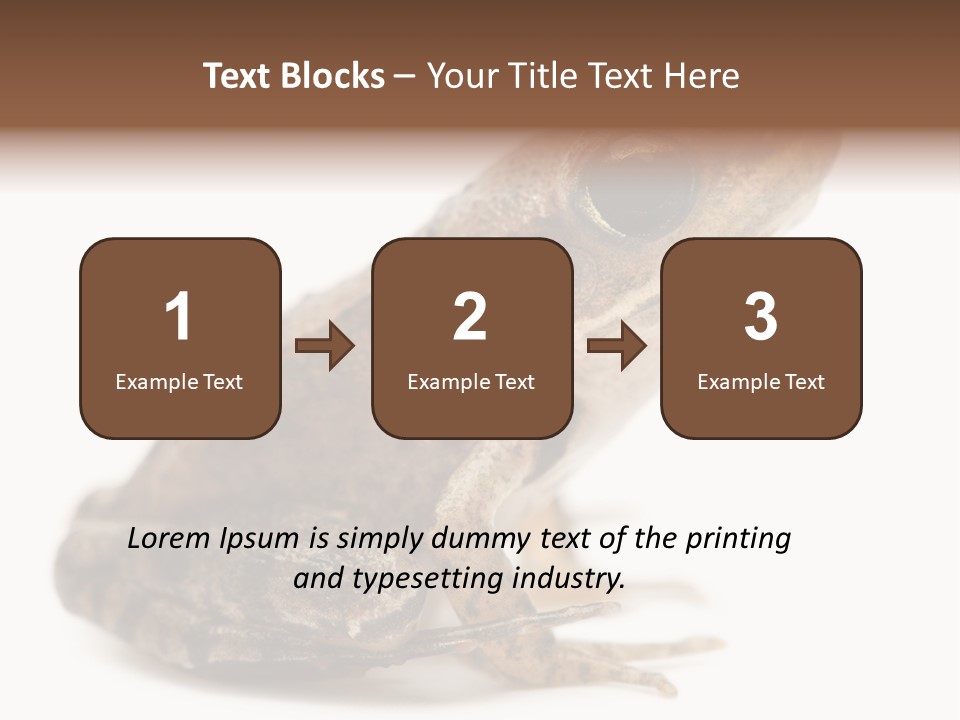 Rana Temporaria Wild Wild Animal PowerPoint Template