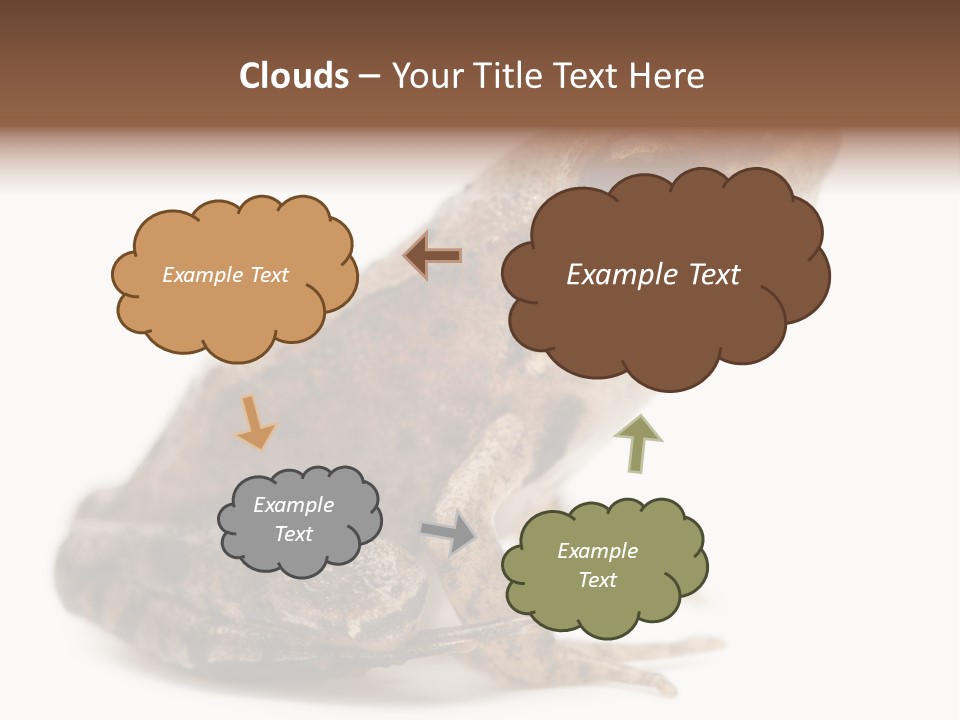 Rana Temporaria Wild Wild Animal PowerPoint Template