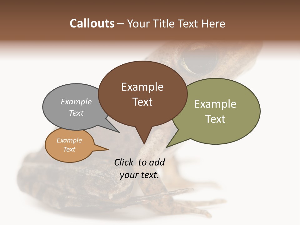 Rana Temporaria Wild Wild Animal PowerPoint Template