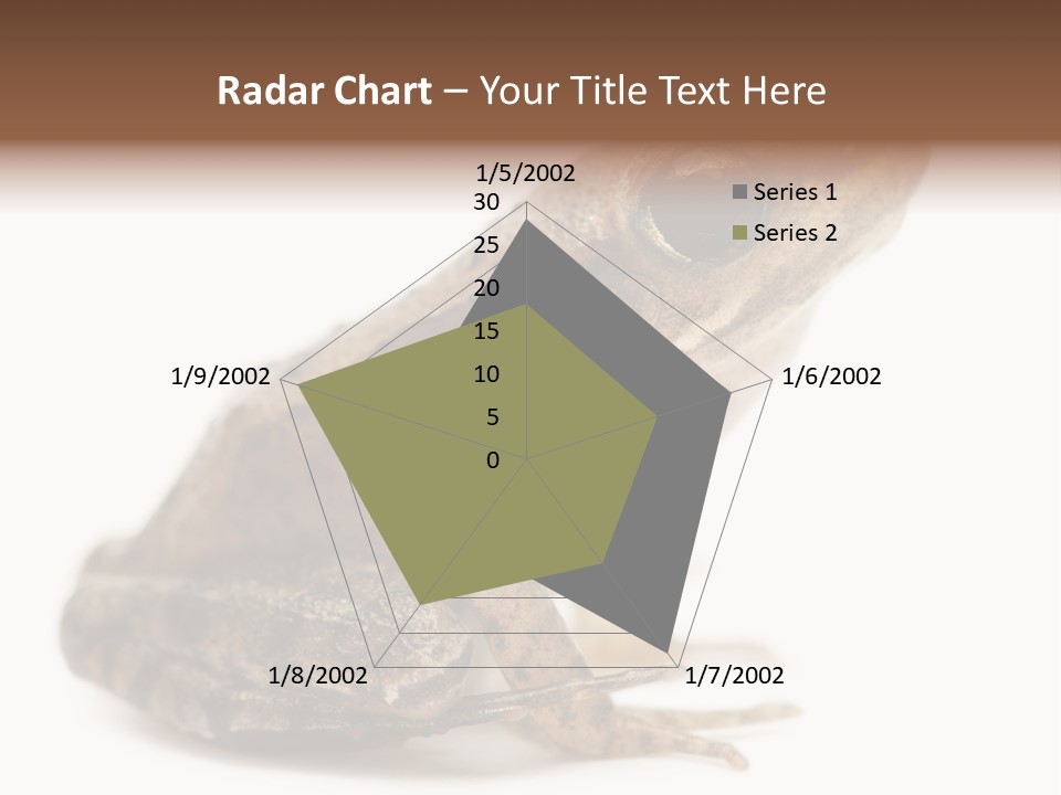 Rana Temporaria Wild Wild Animal PowerPoint Template