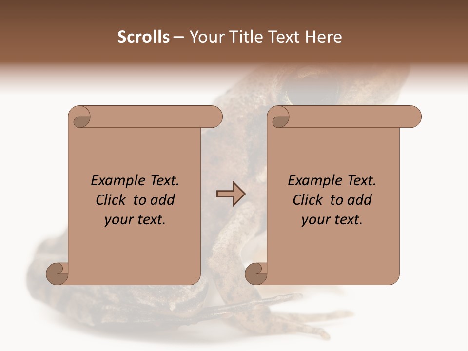 Rana Temporaria Wild Wild Animal PowerPoint Template