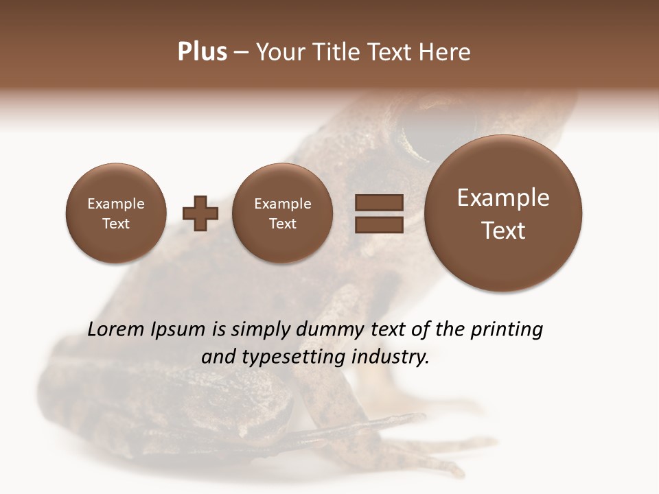 Rana Temporaria Wild Wild Animal PowerPoint Template