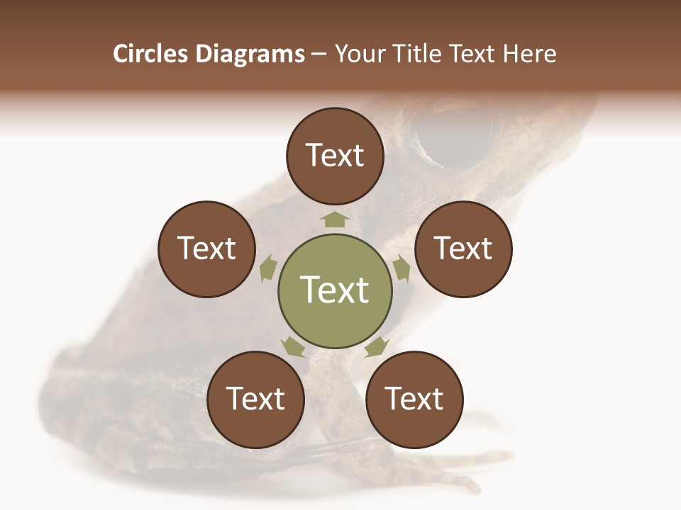 Rana Temporaria Wild Wild Animal PowerPoint Template