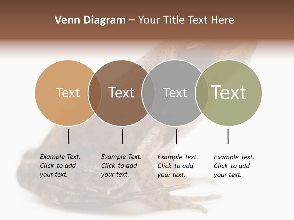 Rana Temporaria Wild Wild Animal PowerPoint Template