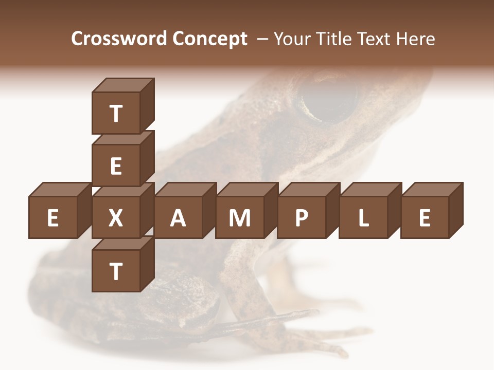 Rana Temporaria Wild Wild Animal PowerPoint Template