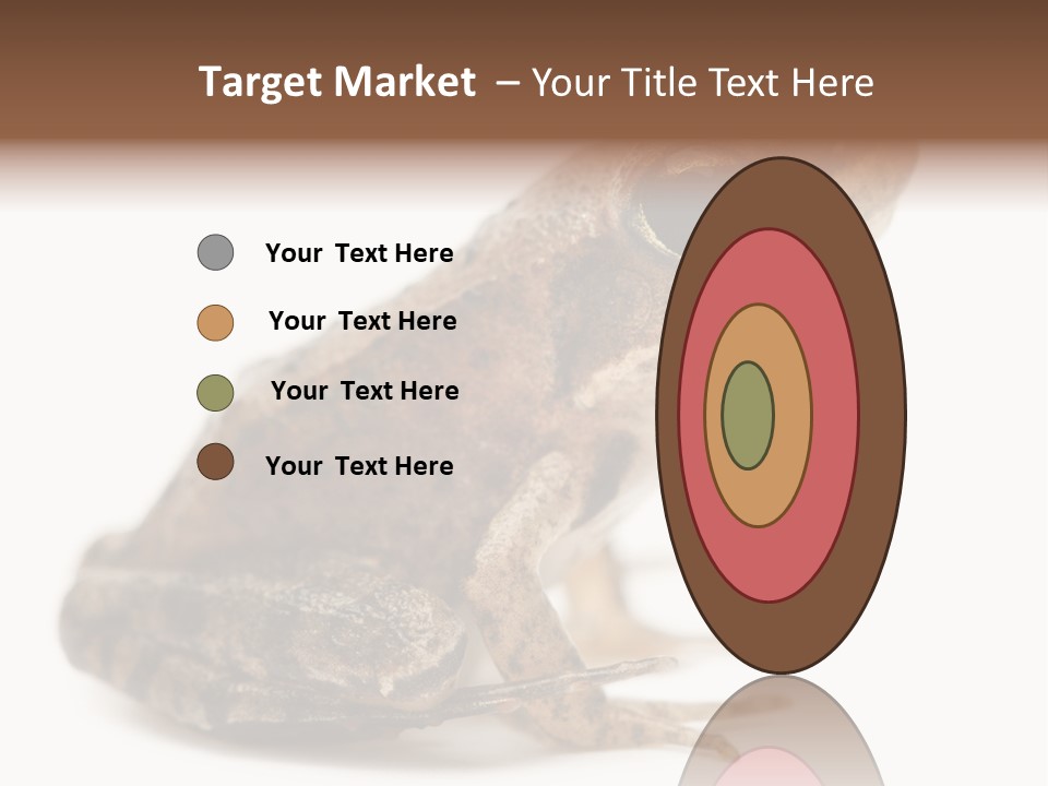 Rana Temporaria Wild Wild Animal PowerPoint Template