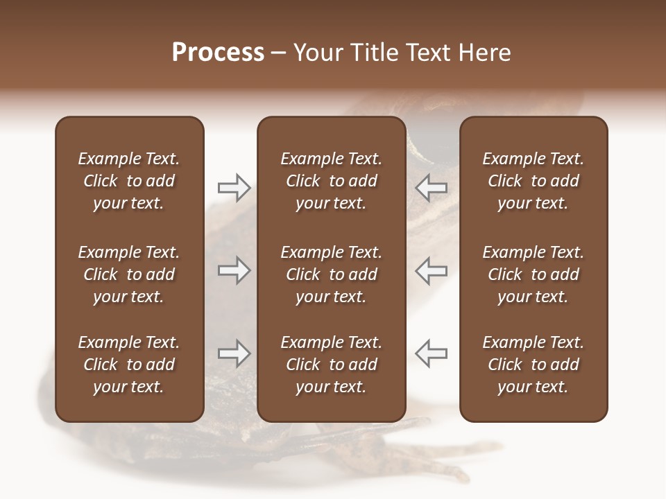 Rana Temporaria Wild Wild Animal PowerPoint Template