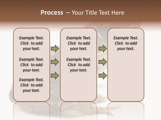 Rana Temporaria Wild Wild Animal PowerPoint Template