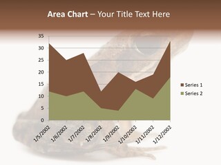 Rana Temporaria Wild Wild Animal PowerPoint Template