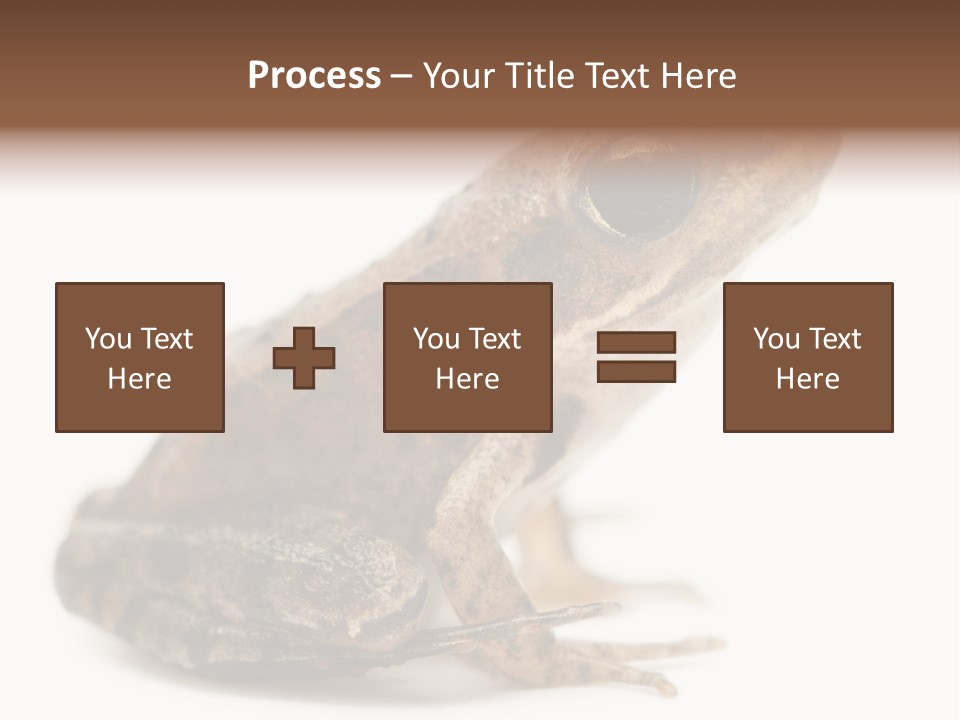 Rana Temporaria Wild Wild Animal PowerPoint Template